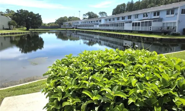 1778 Samurai Point, Unit Q4, Lutz, FL, 33558